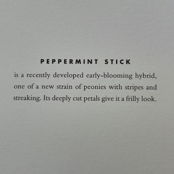 RARE MARTHA STEWART LIVING SET OF 14 PEONY CARDS AND ENVELOPES - BEAUTIFUL! - Picture 4 of 12